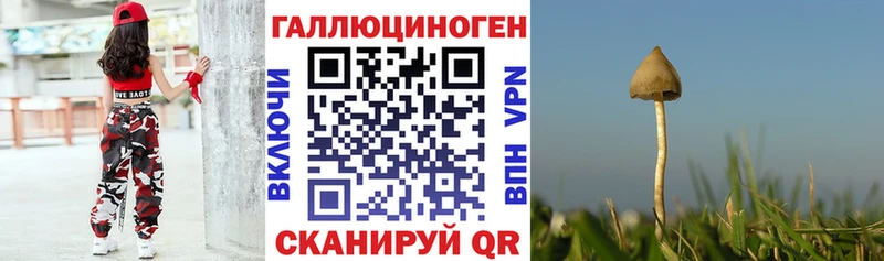 Галлюциногенные грибы мухоморы  дарнет шоп  Пучеж 